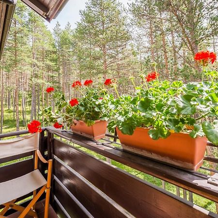 Residence Alice Nel Paese Dell' Armentarola San Cassiano  Dış mekan fotoğraf
